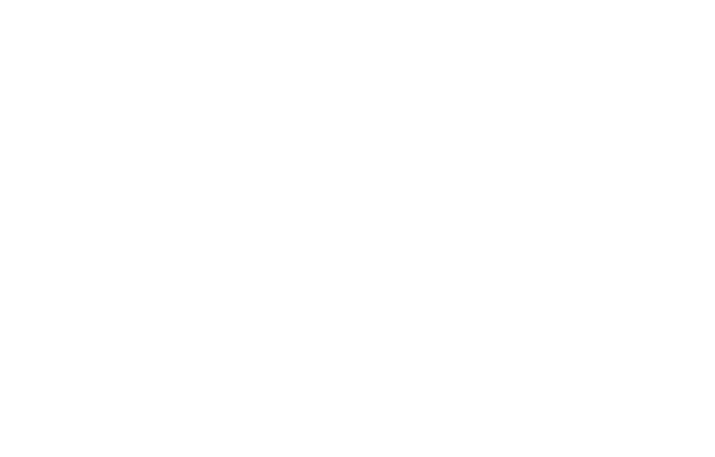 Reach-Verordnung BEI Text DE Landinpage Verordnung BEIL Kunststoffproduktions- und Handelsgesellschaft mbH